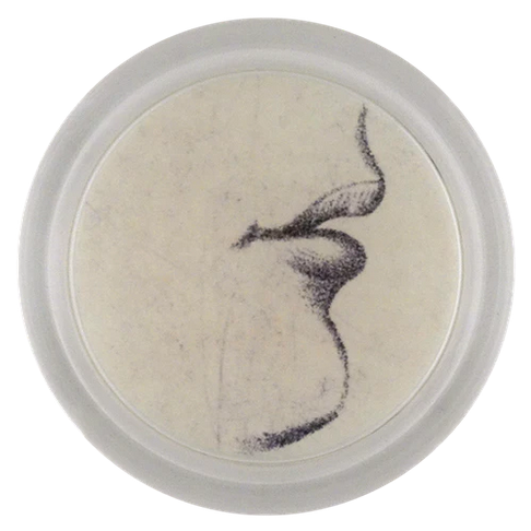 JOHN DERIAN Lessons: Mouth Coaster