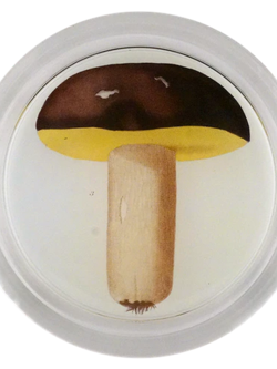 JOHN DERIAN Mushroom Fig. 3 Coaster
