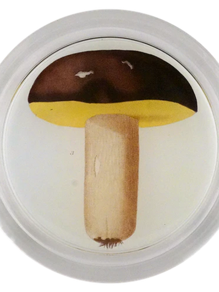 JOHN DERIAN Mushroom Fig. 3 Coaster
