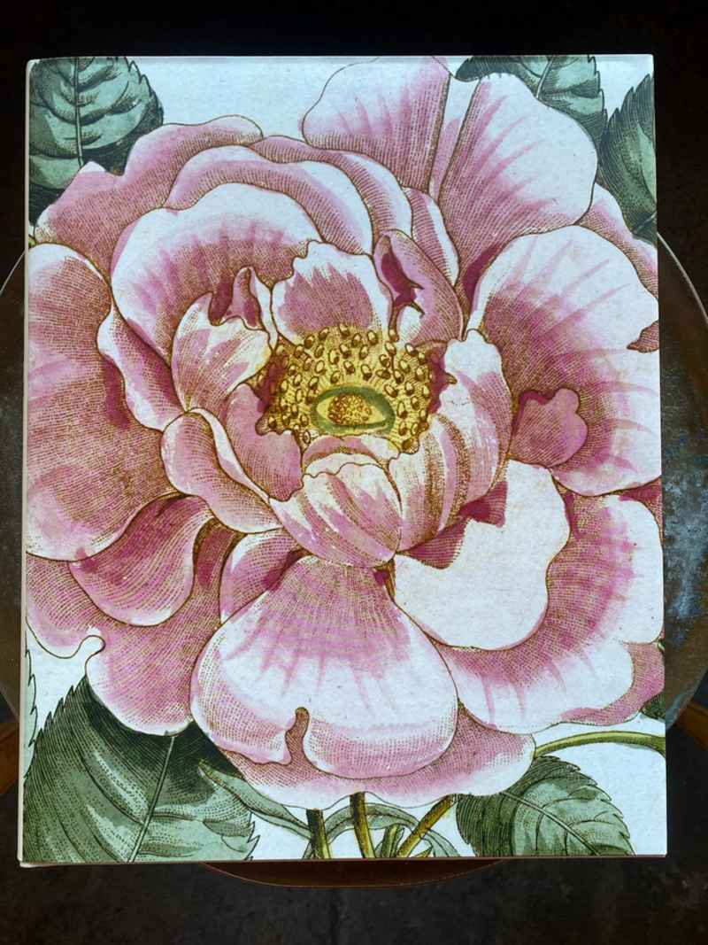 JOHN DERIAN John Derian Picture Book II