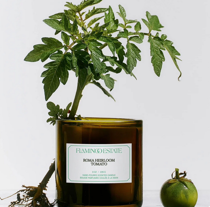 FLAMINGO ESTATE Roma Heirloom Tomato Candle
