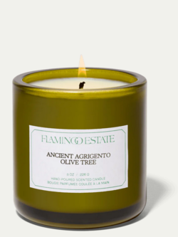 FLAMINGO ESTATE Ancient Agrigento Olive Tree Candle