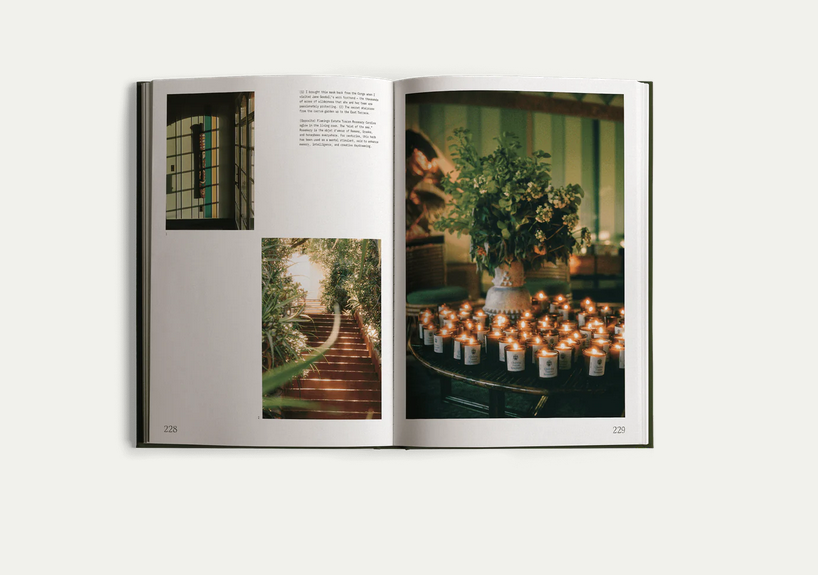 FLAMINGO ESTATE Fridays From the Garden