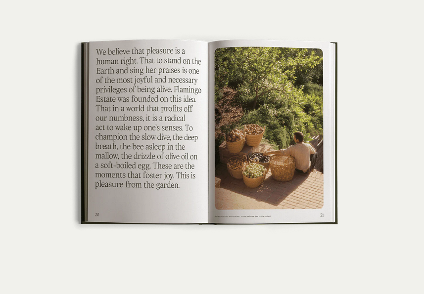 FLAMINGO ESTATE Fridays From the Garden