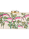 RAFE Alessandra Clutch - Natural / Fuschia