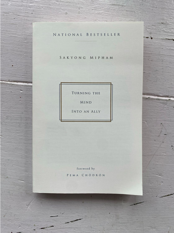 Turning The Mind Into An Ally