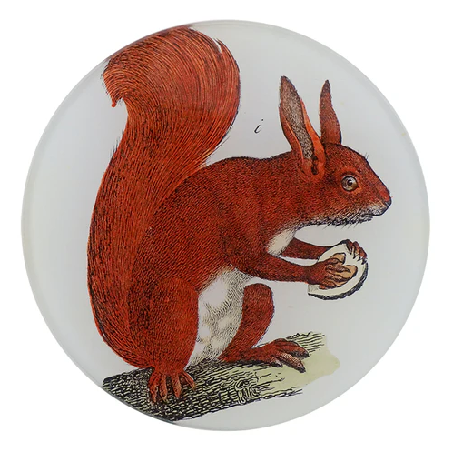 JOHN DERIAN 4" Round Plate - A Red Squirrel