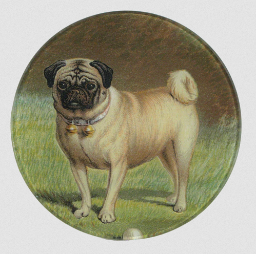JOHN DERIAN Pug & Ball