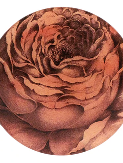 JOHN DERIAN Rose of May