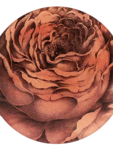JOHN DERIAN Rose of May