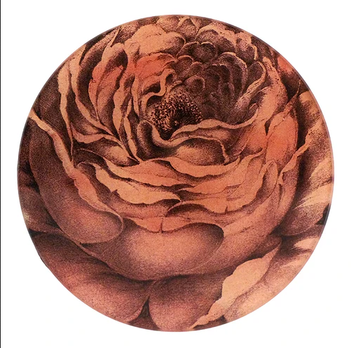 JOHN DERIAN Rose of May