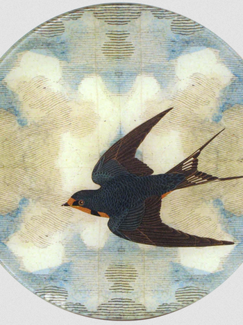 JOHN DERIAN Swallow in Flight (Flying Left)