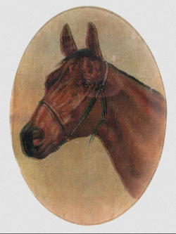 JOHN DERIAN Horse