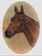 JOHN DERIAN Horse