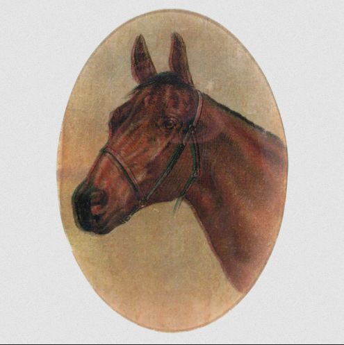 JOHN DERIAN Horse
