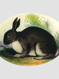JOHN DERIAN Rabbit