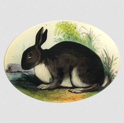 JOHN DERIAN Rabbit