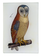 JOHN DERIAN An Owl