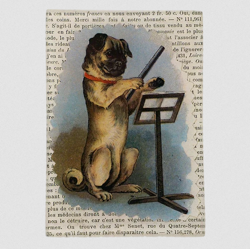 JOHN DERIAN Pug Conductor