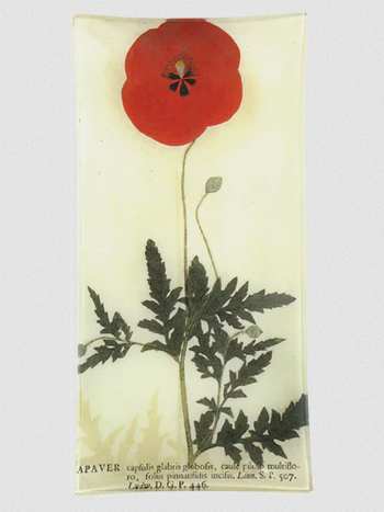 JOHN DERIAN Red Poppy
