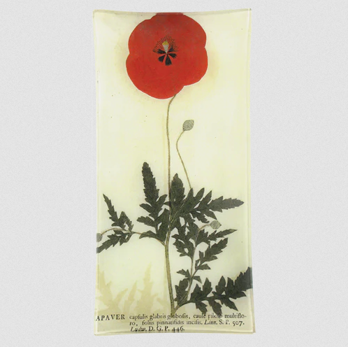 JOHN DERIAN Red Poppy