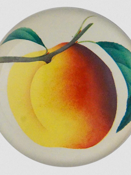 JOHN DERIAN Crawford Peach