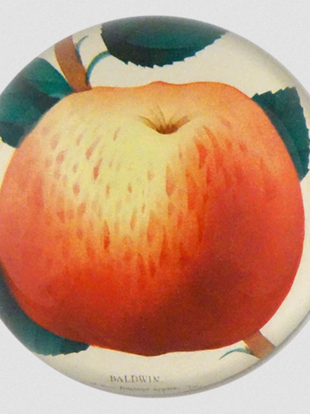 JOHN DERIAN Baldwin Apple