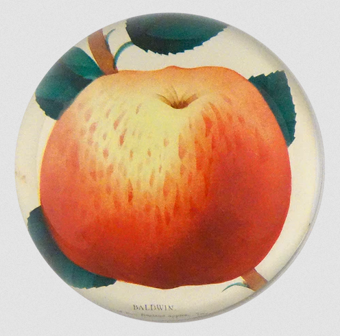 JOHN DERIAN Baldwin Apple