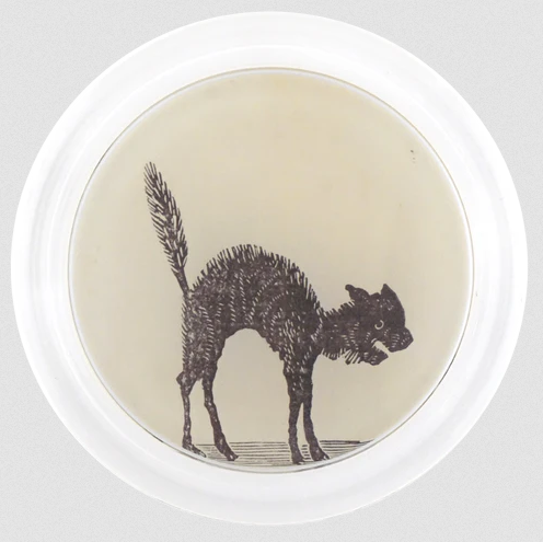 JOHN DERIAN Arched Cat