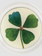 JOHN DERIAN 6" Coaster - Clover