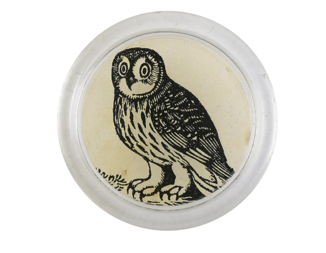 JOHN DERIAN 4" Coaster - Iconic Owl