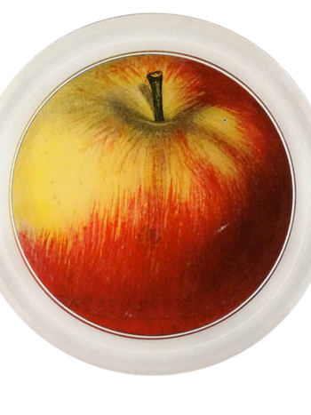JOHN DERIAN 6" Coaster - Red Apple