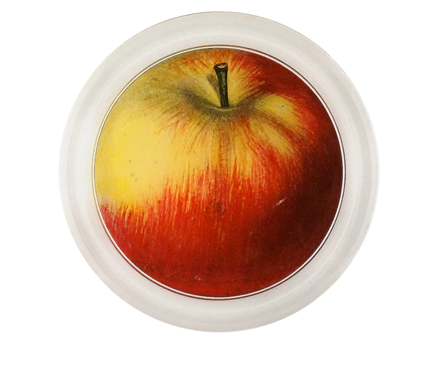JOHN DERIAN 6" Coaster - Red Apple