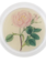 JOHN DERIAN 6" Coaster - Rose 4