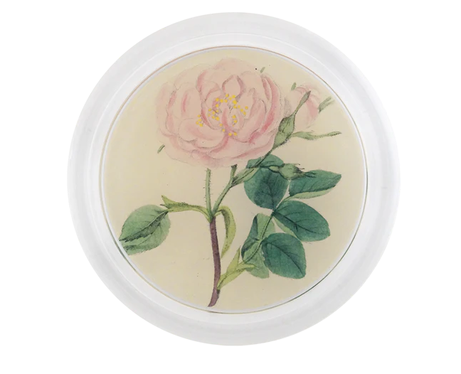 JOHN DERIAN 6" Coaster - Rose 4