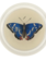 JOHN DERIAN 6" Coaster - Deep Blue Butterfly