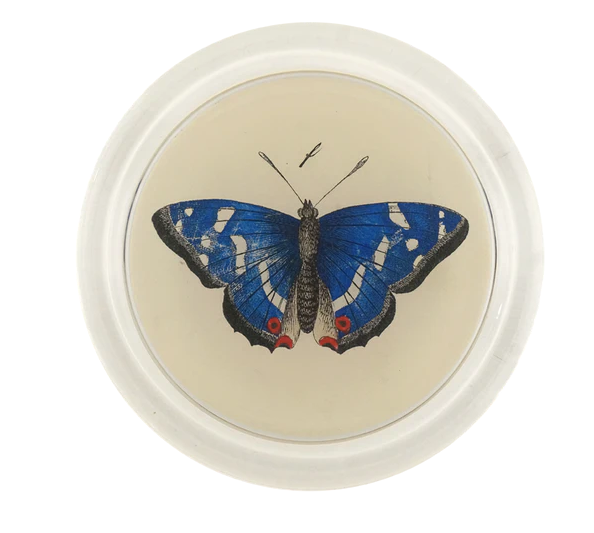 JOHN DERIAN 6" Coaster - Deep Blue Butterfly