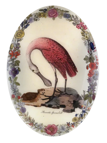 JOHN DERIAN 13 x 18" Convex Oval - Spoonbill with Flowers