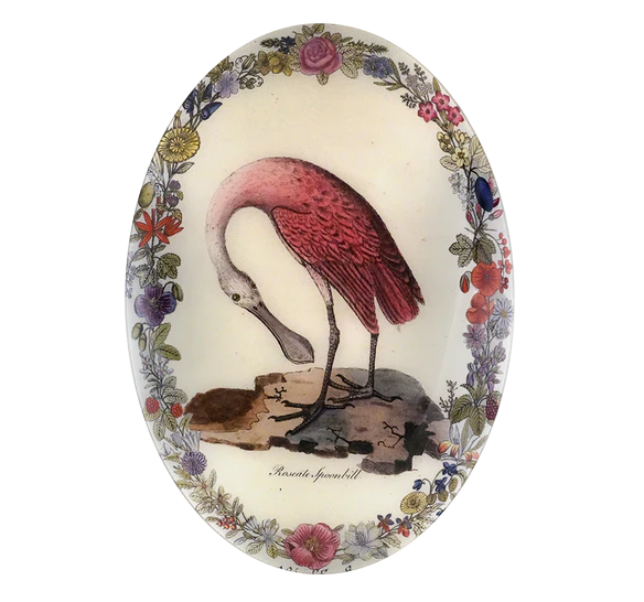 JOHN DERIAN 13 x 18" Convex Oval - Spoonbill with Flowers