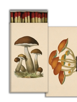 JOHN DERIAN John Derian Co. Matches - Mushrooms