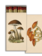 JOHN DERIAN John Derian Co. Matches - Mushrooms