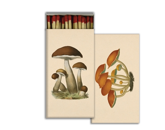 JOHN DERIAN John Derian Co. Matches - Mushrooms