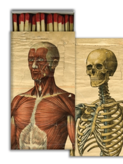 JOHN DERIAN John Derian Co. Matches - Muscle Man & Skeleton