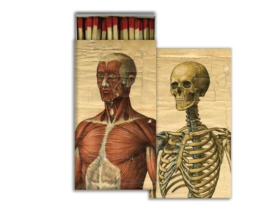 JOHN DERIAN John Derian Co. Matches - Muscle Man & Skeleton