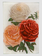 JOHN DERIAN Rose Cut-outs