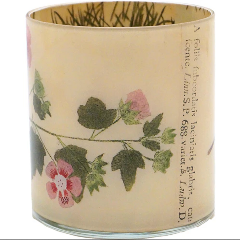 JOHN DERIAN Malva