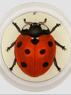 JOHN DERIAN Red Ladybug