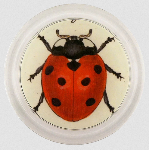 JOHN DERIAN Red Ladybug