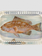 JOHN DERIAN Grouper (Fish)