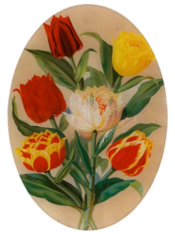 JOHN DERIAN 10 x 14" Oval - Tulip Bouquet